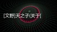 [文野]天之子(關于[文野]天之子簡述)