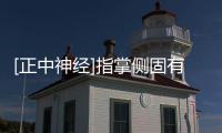 [正中神經]指掌側固有神經(關于[正中神經]指掌側固有神經簡述)