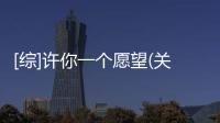 [綜]許你一個愿望(關(guān)于[綜]許你一個愿望簡述)