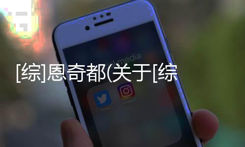 [綜]恩奇都(關于[綜]恩奇都簡述)