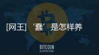 [網王]‘蠢’是怎樣養成的(關于[網王]‘蠢’是怎樣養成的簡述)