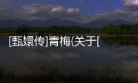 [甄嬛傳]青梅(關于[甄嬛傳]青梅簡述)