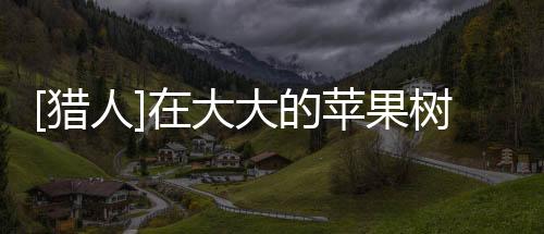 [獵人]在大大的蘋果樹下(關(guān)于[獵人]在大大的蘋果樹下簡述)