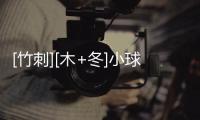 [竹刺][木+冬]小球盾殼(關于[竹刺][木+冬]小球盾殼簡述)