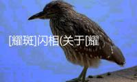 [耀斑]閃相(關于[耀斑]閃相簡述)