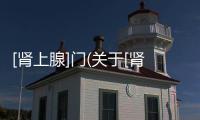 [腎上腺]門(關(guān)于[腎上腺]門簡(jiǎn)述)