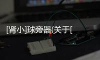 [腎小]球旁器(關于[腎小]球旁器簡述)