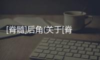 [脊髓]后角(關于[脊髓]后角簡述)