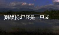 [韓娛]你已經(jīng)是一只成熟的果子(關(guān)于[韓娛]你已經(jīng)是一只成熟的果子簡(jiǎn)述)