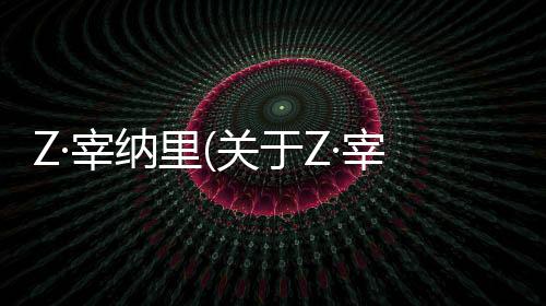 Z·宰納里(關于Z·宰納里簡述)