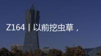 Z164丨以前挖蟲草，現在立志回鄉教漢語