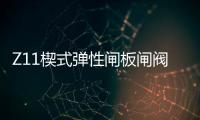 Z11楔式彈性閘板閘閥(關于Z11楔式彈性閘板閘閥簡述)