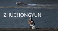 ZHUCHONGYUN(關(guān)于ZHUCHONGYUN簡(jiǎn)述)