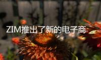 ZIM推出了新的電子商務服務