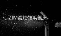 ZIM澧炲姞浜氭床