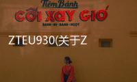 ZTEU930(關于ZTEU930簡述)