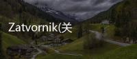 Zatvornik(關于Zatvornik簡述)