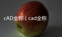 cAD全稱（cad全稱是什么）