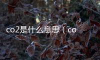 co2是什么意思（co2是什么）