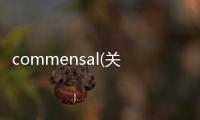 commensal(關于commensal簡述)