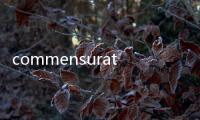 commensuration(關(guān)于commensuration簡述)