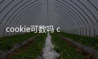 cookie可數(shù)嗎 cookie可不可數(shù)