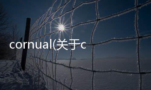 cornual(關(guān)于cornual簡述)