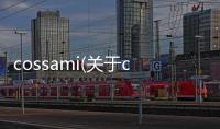 cossami(關(guān)于cossami簡(jiǎn)述)