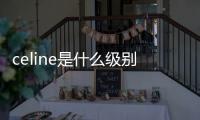celine是什么級別的牌子（celine屬于幾線品牌）