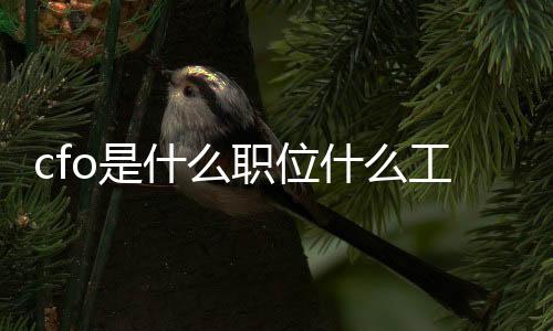 cfo是什么職位什么工作?（cfo是什么職位么職位）