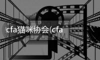 cfa貓咪協會(cfa貓咪證書有什么用)