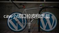 caw小切口拉皮技術挺不錯的，3