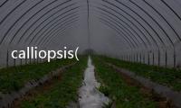 calliopsis(關于calliopsis簡述)