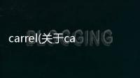 carrel(關于carrel簡述)