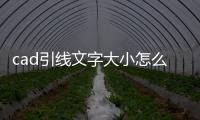 cad引線文字大小怎么調(diào)整（cad引線）