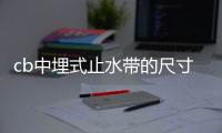 cb中埋式止水帶的尺寸