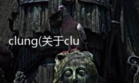clung(關于clung簡述)