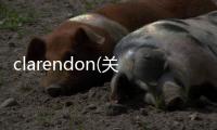 clarendon(關于clarendon簡述)