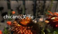 chicano(關(guān)于chicano簡述)