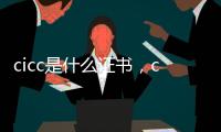 cicc是什么證書，cicc中金公司是做什么的