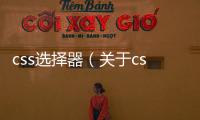 css選擇器（關(guān)于css選擇器的基本情況說明介紹）