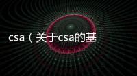 csa（關(guān)于csa的基本情況說明介紹）