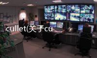 cullet(關于cullet簡述)