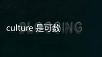 culture 是可數名詞還是不可數名詞，culture是可數名詞還是不可數名詞