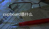 cupboard是什么意思（cupboard）