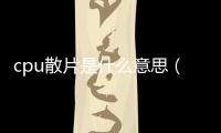 cpu散片是什么意思（散片是什么意思）