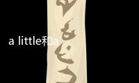 a little和a bit和a little bit的區別