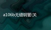 a106b無(wú)縫鋼管(關(guān)于a106b無(wú)縫鋼管簡(jiǎn)述)