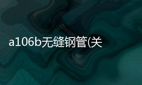 a106b無縫鋼管(關于a106b無縫鋼管簡述)