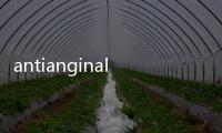 antianginal(關于antianginal簡述)
